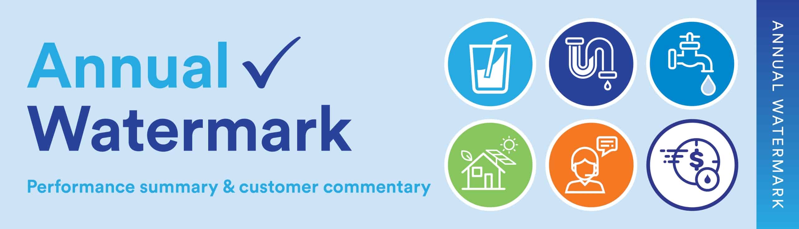 Annual Watermark - Performance summary and customer commentary