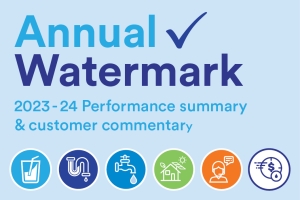 Annual Watermark website thumbnail